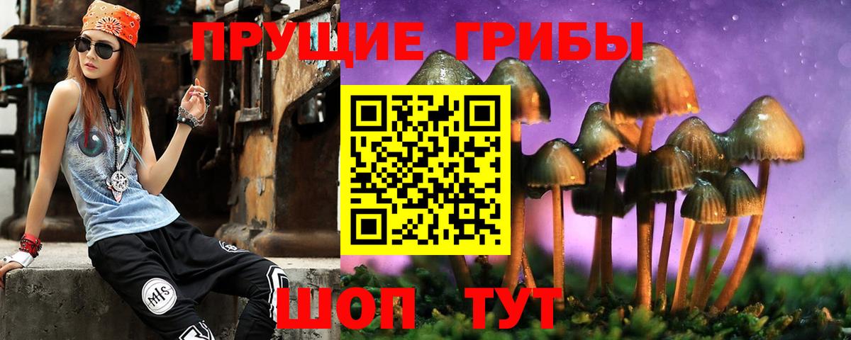 Галлюциногенные грибы мицелий  Псилоцибиновые грибы мухоморы  Электрогорск  Вход с VPN 