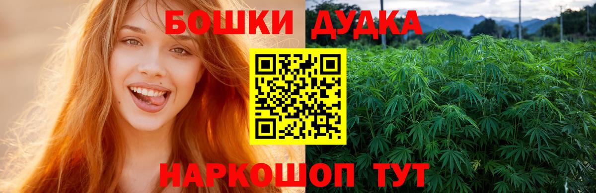 Лсд 25 Электрогорск